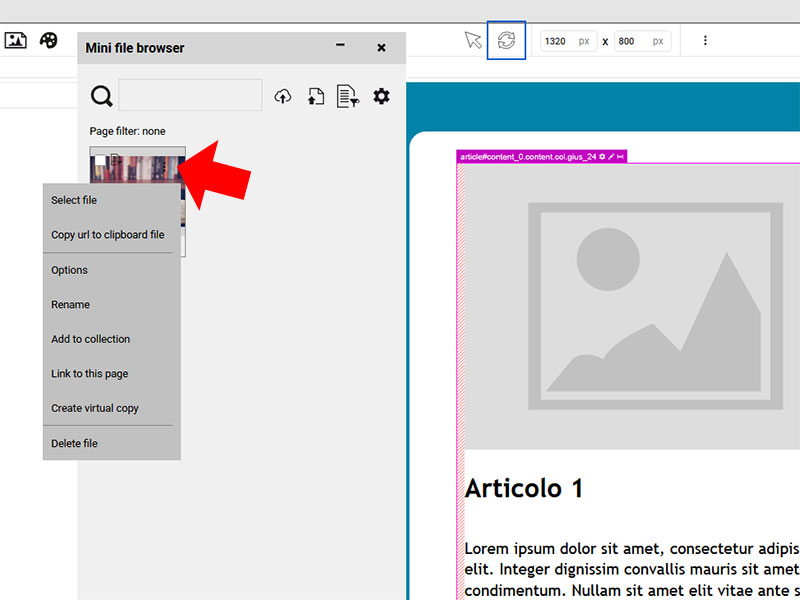 Mini file browser menù file